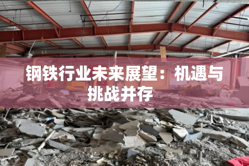 钢铁行业未来展望:机遇与挑战并存